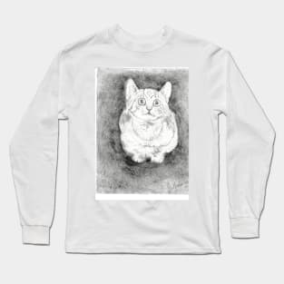 Hypo realistic crouching cat Long Sleeve T-Shirt